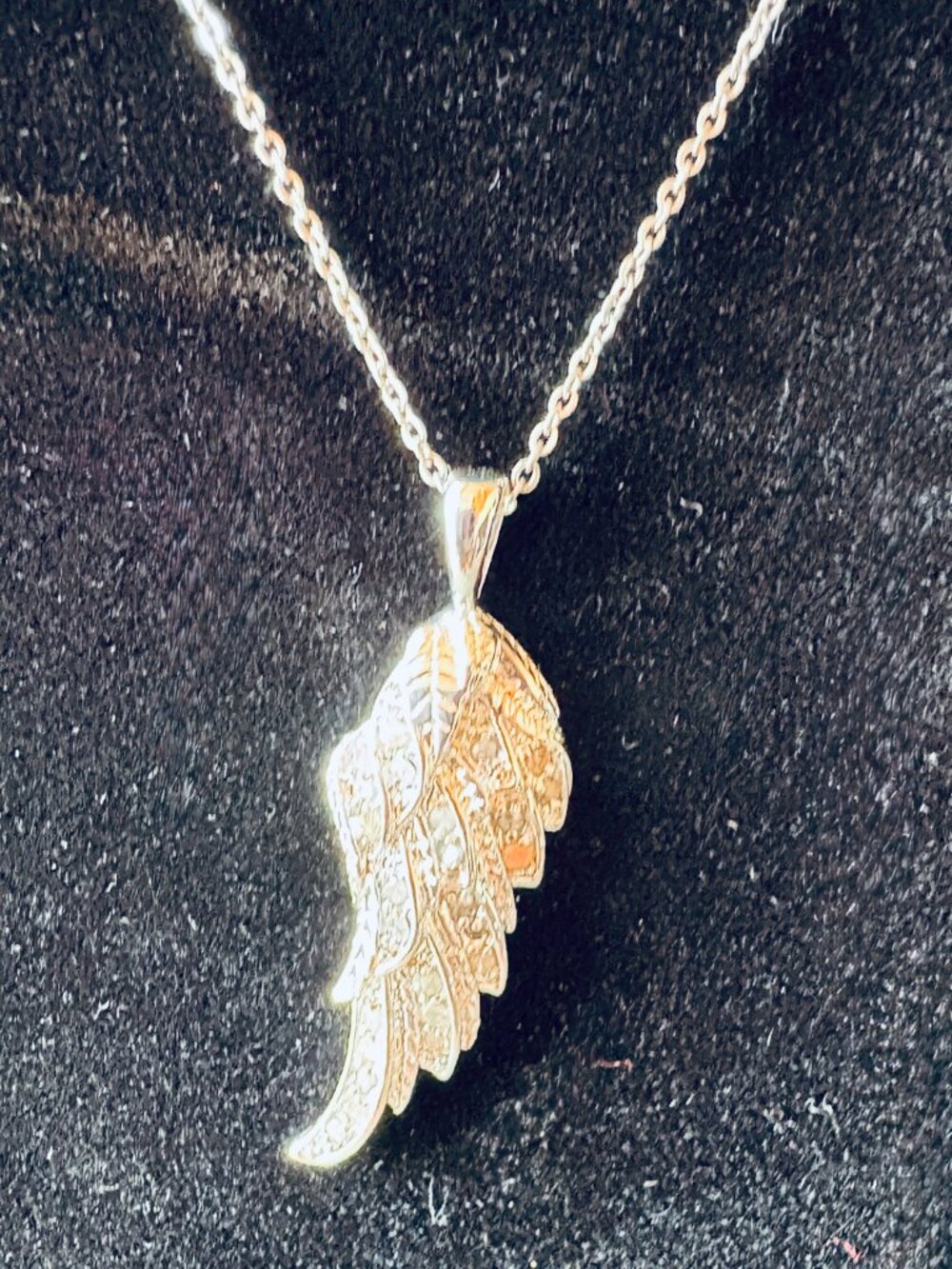 Angel Wing Pendant and Chain